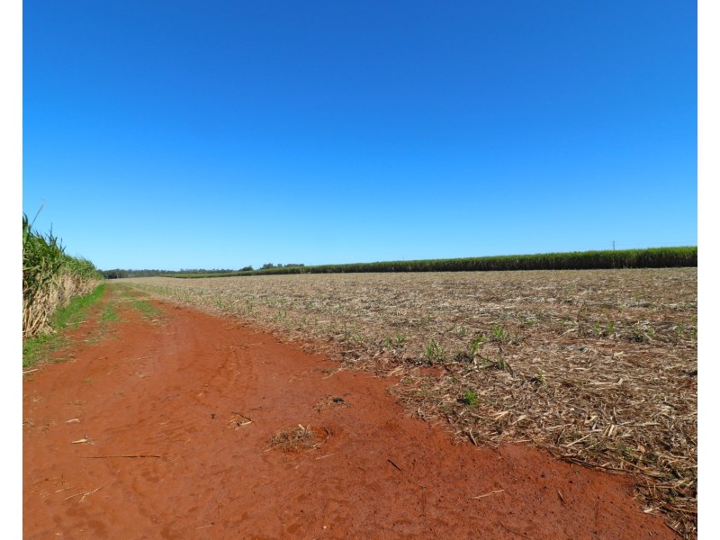 41 Mullers Road, Redridge QLD 4660
