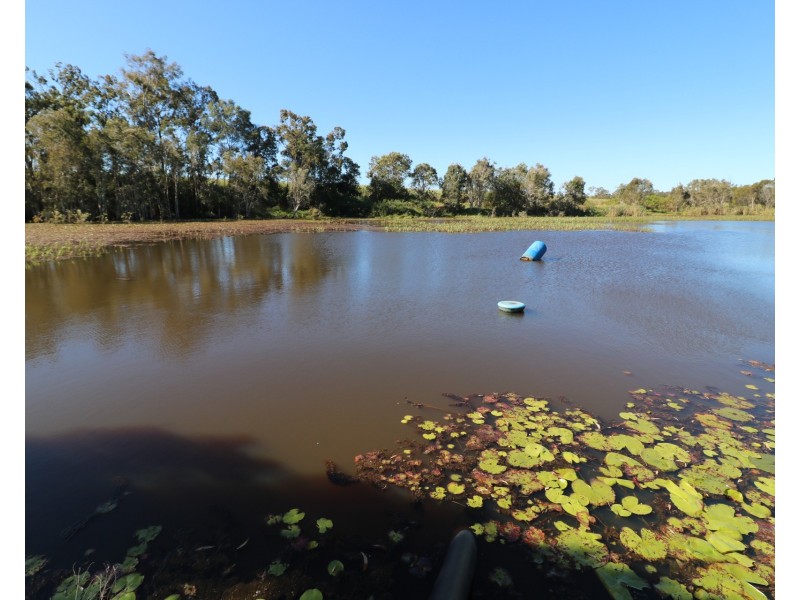 41 Mullers Road, Redridge QLD 4660