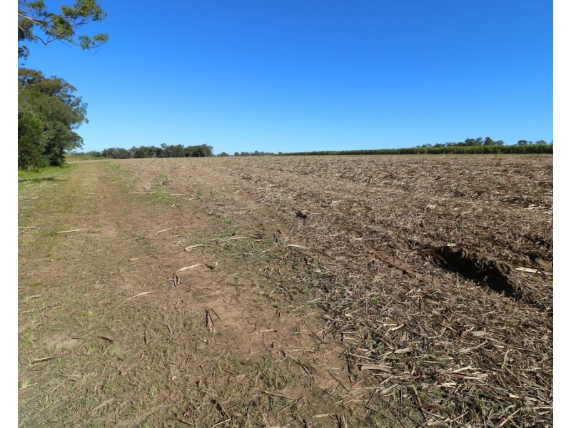 41 Mullers Road, Redridge QLD 4660
