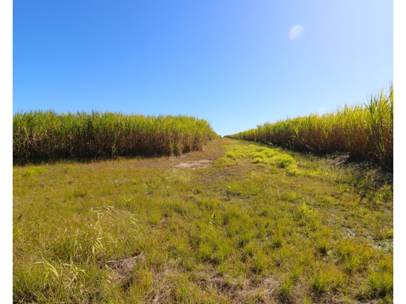 41 Mullers Road, Redridge QLD 4660