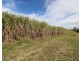 Lot 53 Webbs Road, Redridge QLD 4660