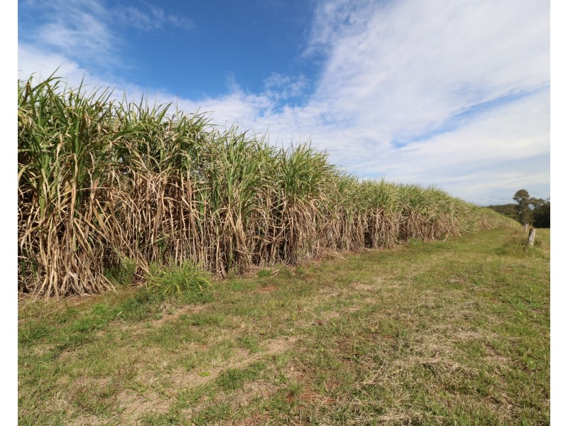 Lot 53 Webbs Road, Redridge QLD 4660