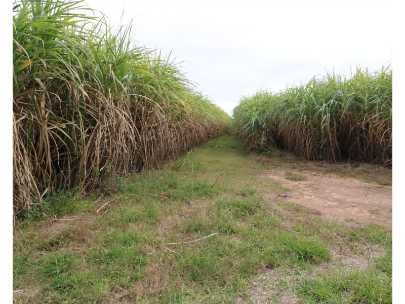 Lot 53 Webbs Road, Redridge QLD 4660