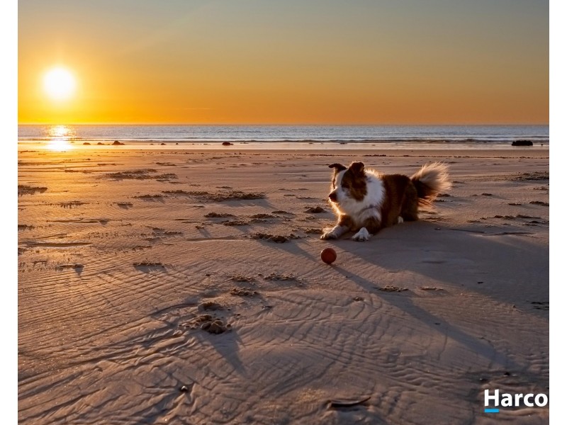 South Beach, Elliott Heads QLD 4670