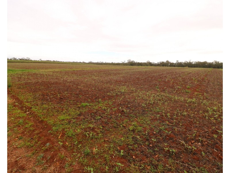 66 Coach Road, Redridge QLD 4660