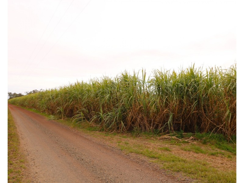 66 Coach Road, Redridge QLD 4660