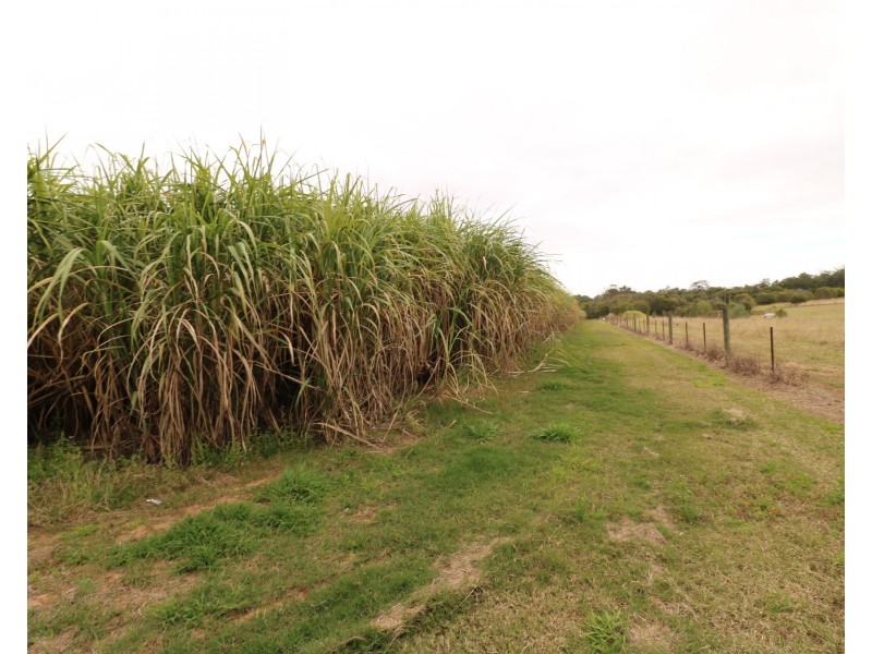 66 Coach Road, Redridge QLD 4660