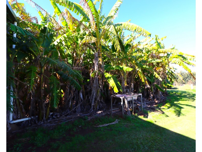 440 Knockroe Road, North Isis QLD 4660