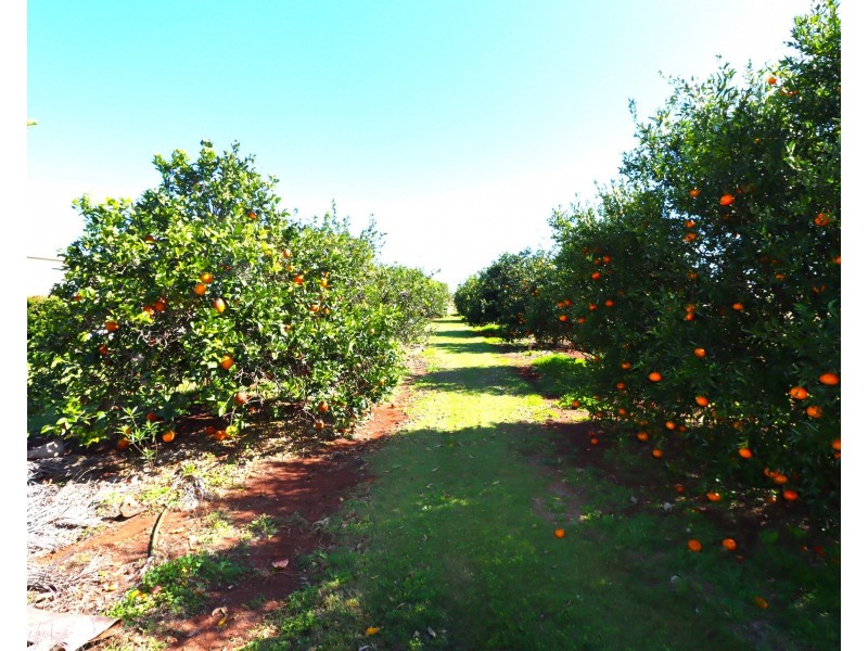 440 Knockroe Road, North Isis QLD 4660