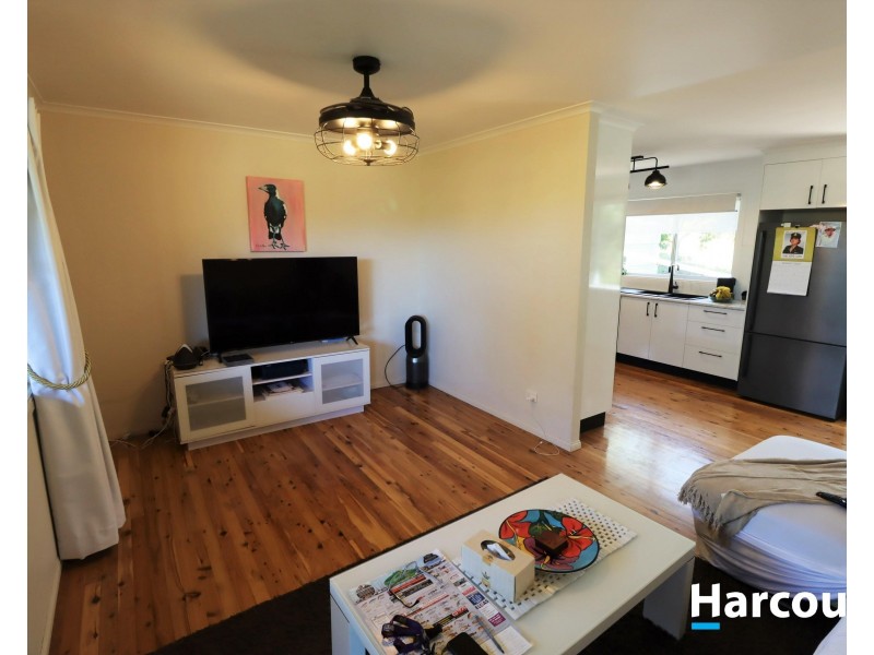 19 McGibbon Street, Apple Tree Creek QLD 4660