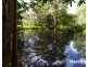 29399 Bruce Highway, Apple Tree Creek QLD 4660