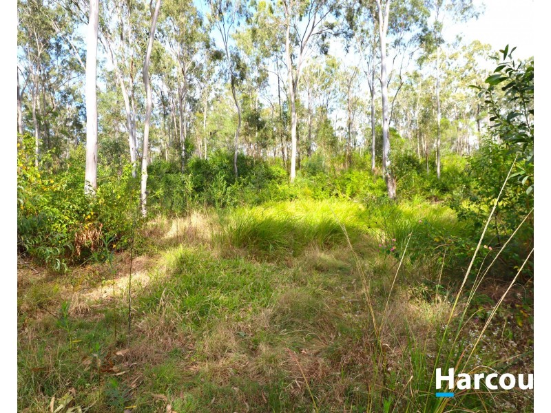 178 STOCKS RD, Apple Tree Creek QLD 4660