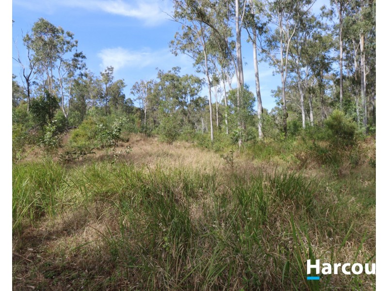 178 STOCKS RD, Apple Tree Creek QLD 4660