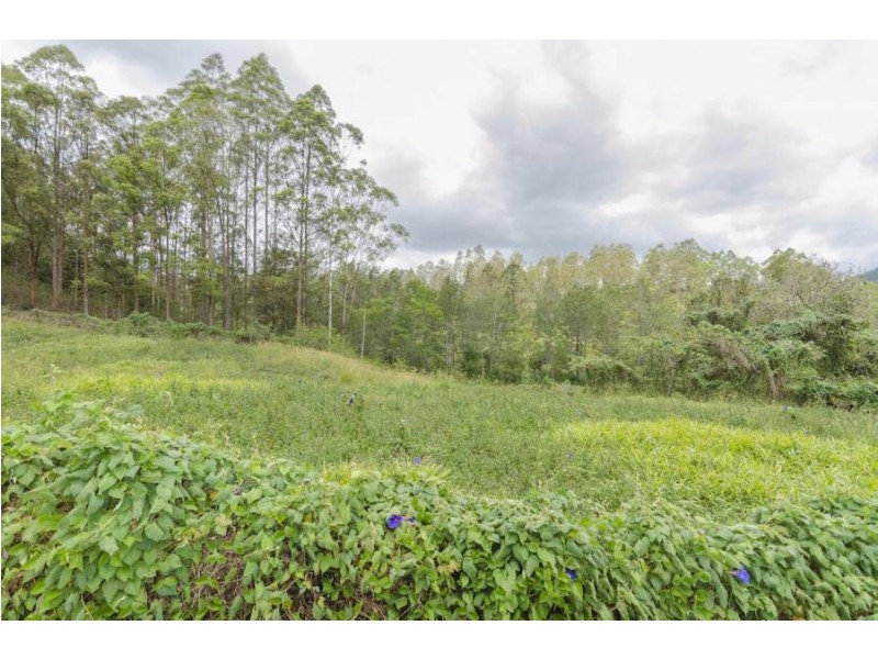 62 Upper Cedar Creek Road, Maleny QLD 4552