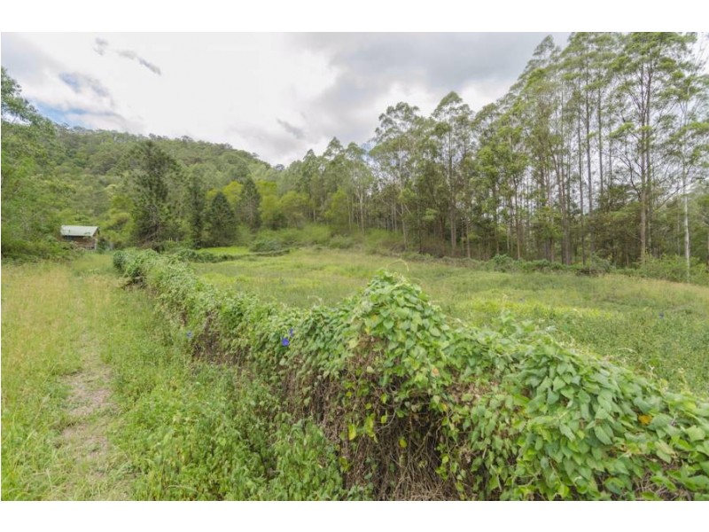 62 Upper Cedar Creek Road, Maleny QLD 4552