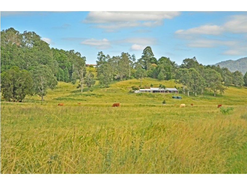 1465 Maleny-Kenilworth Road, Maleny QLD 4552