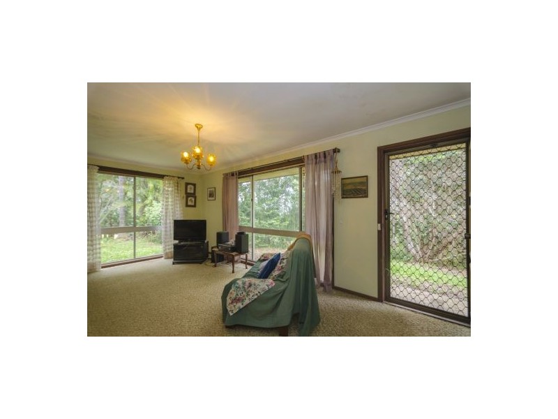 335 Curramore Road, Maleny QLD 4552