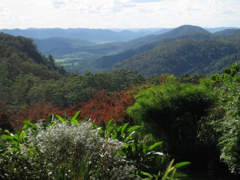 28 Manley Drive, Montville QLD 4560