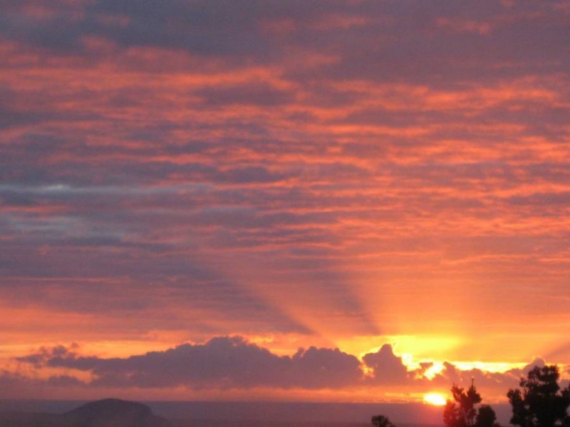 28 Manley Drive, Montville QLD 4560