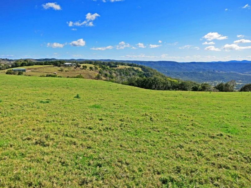 Maleny QLD 4552