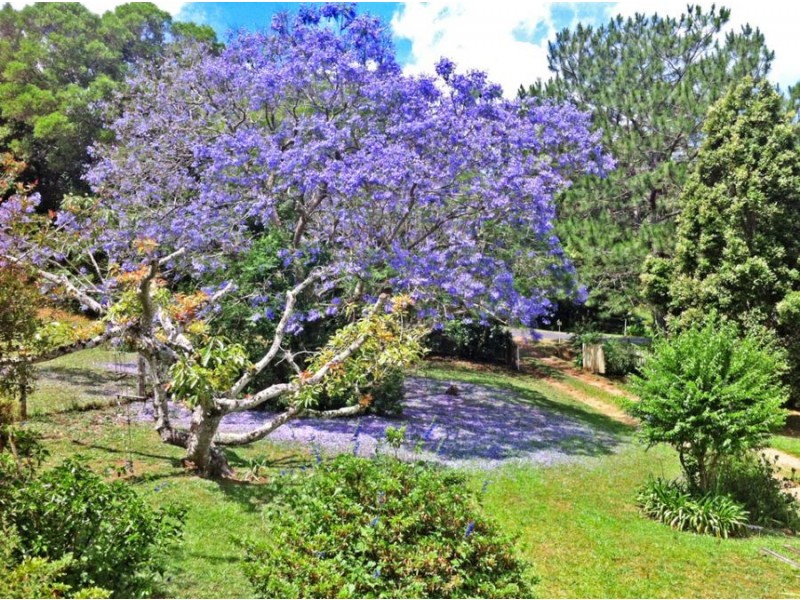 12 Burgess Avenue, Maleny QLD 4552