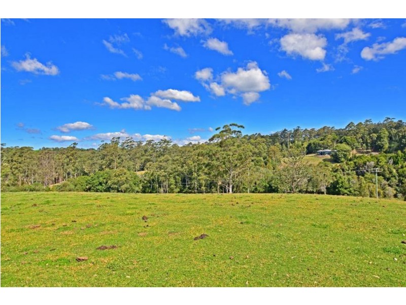 Maleny QLD 4552