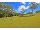 Maleny QLD 4552