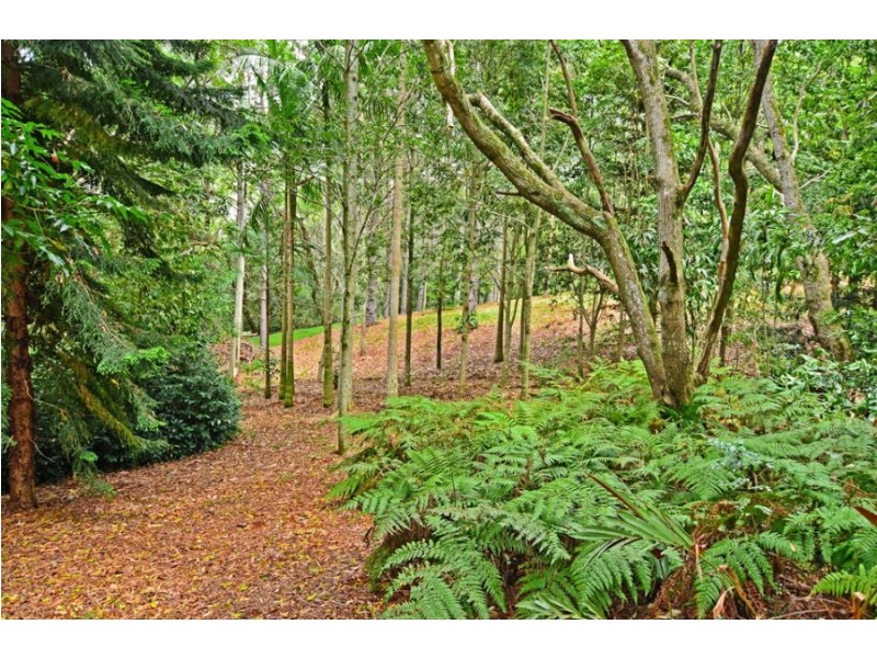 15 Hillfoot Lane, Montville QLD 4560