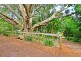 565 Maleny-Montville Road, Maleny QLD 4552