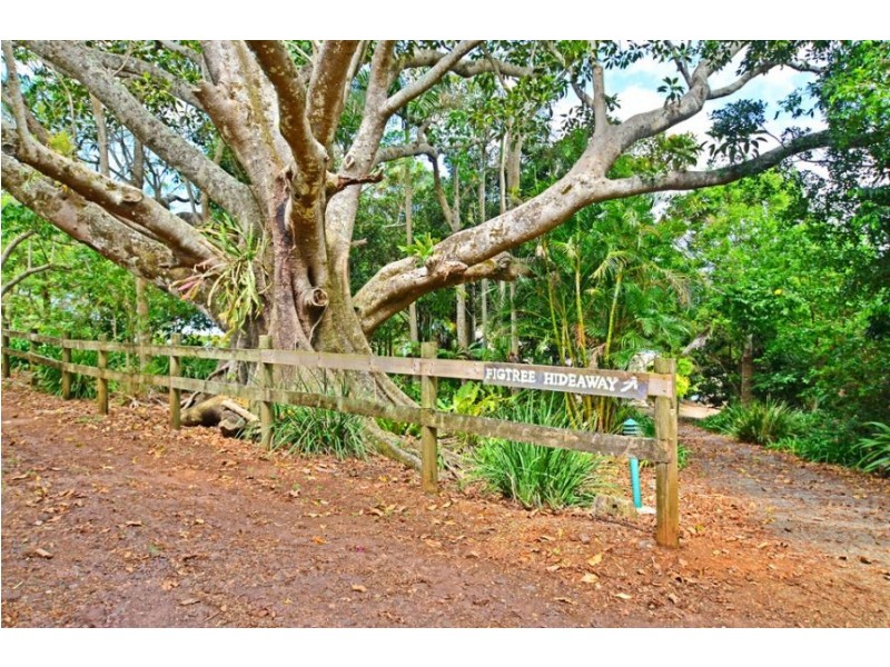 565 Maleny-Montville Road, Maleny QLD 4552