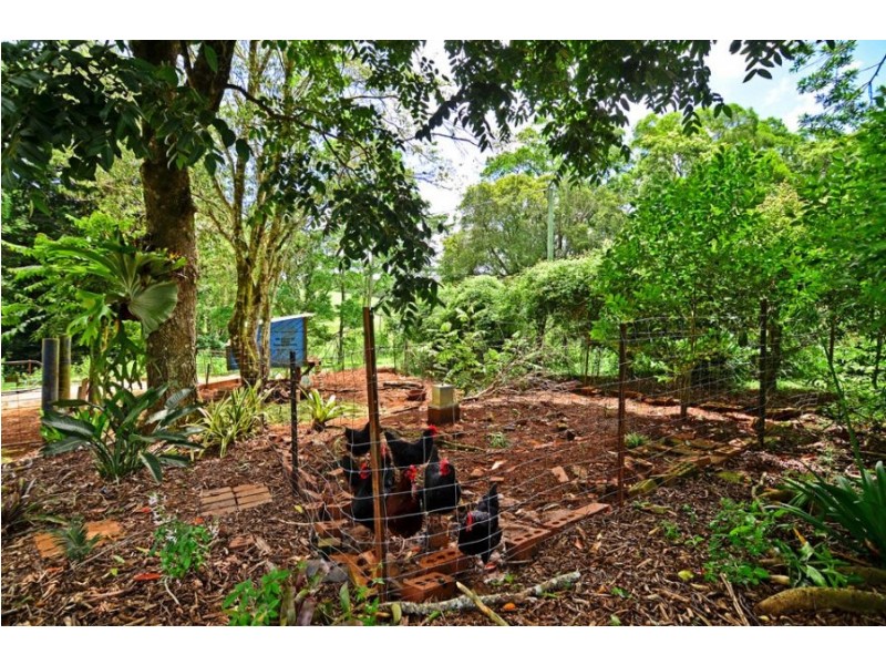 315 Witta Road, Maleny QLD 4552