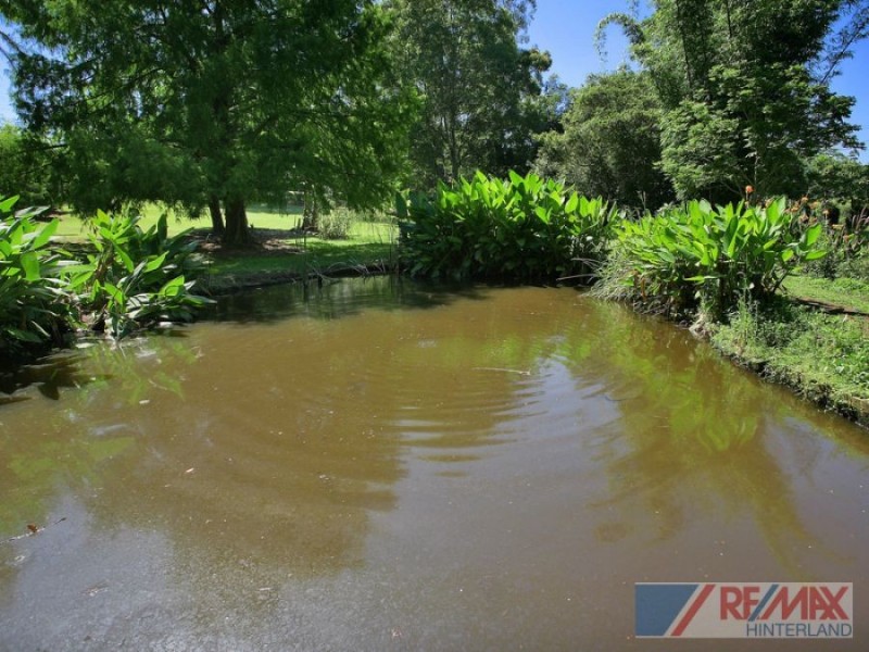 39 Ravensberg Drive, Maleny QLD 4552