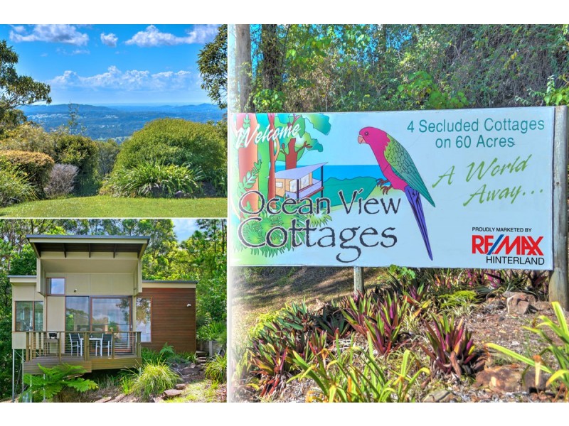 549 Palmwoods-Montville Road, Montville QLD 4560
