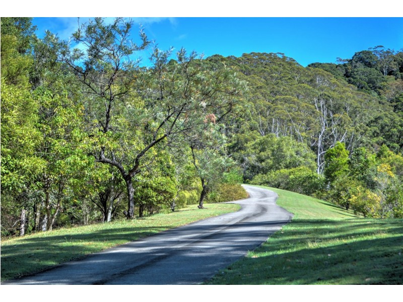 549 Palmwoods-Montville Road, Montville QLD 4560