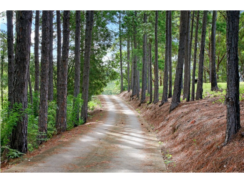 549 Palmwoods-Montville Road, Montville QLD 4560