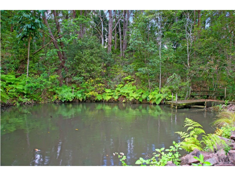 549 Palmwoods-Montville Road, Montville QLD 4560