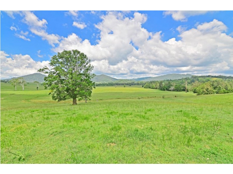 125 Cookes Road, Conondale QLD 4552