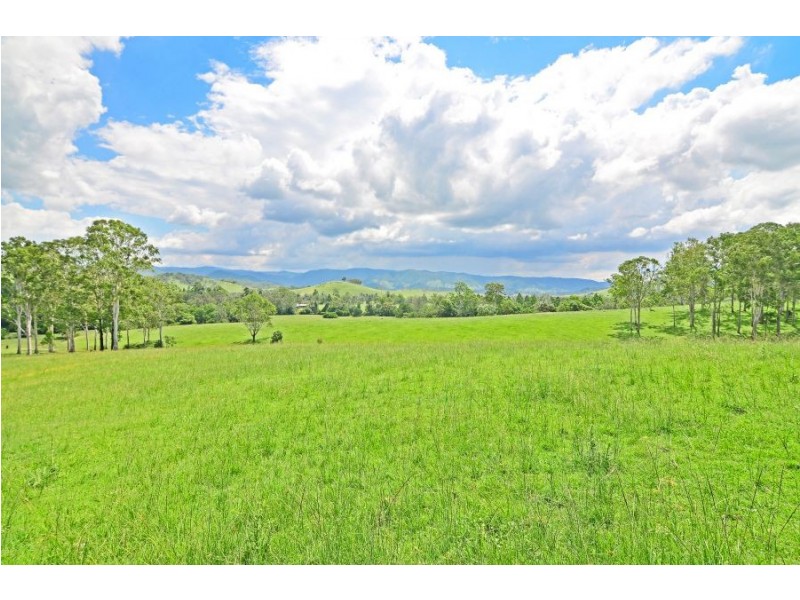 125 Cookes Road, Conondale QLD 4552