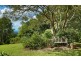 734 Palmwoods Montville Road, Montville QLD 4560