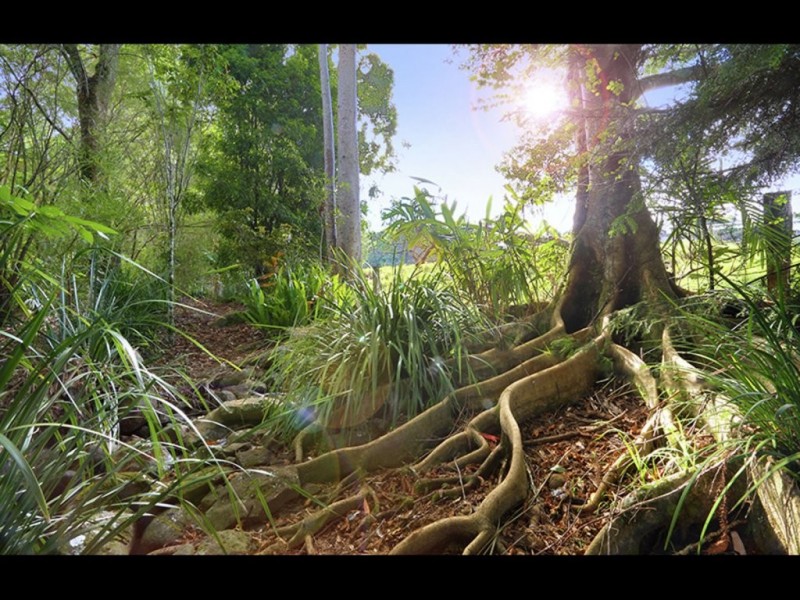 29 McCarthy Shute Road, Maleny QLD 4552