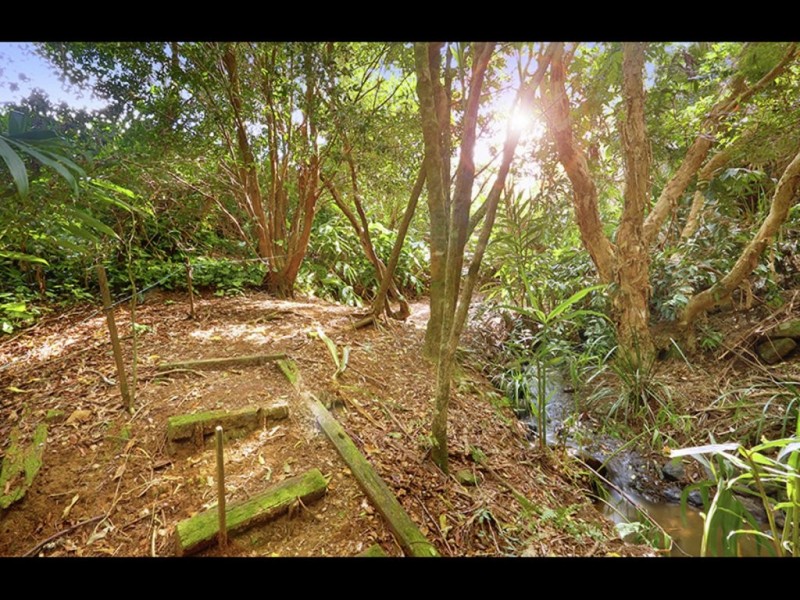 29 McCarthy Shute Road, Maleny QLD 4552