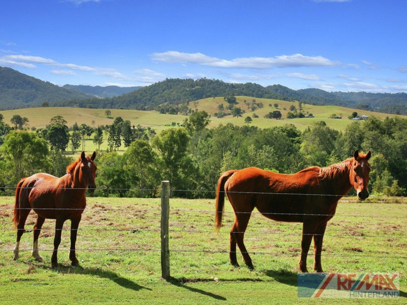 1547 Maleny-Kenilworth Road, Maleny QLD 4552