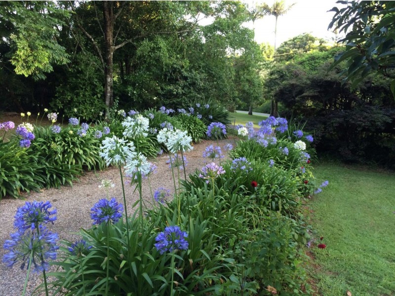 30 Thynne Court, Maleny QLD 4552