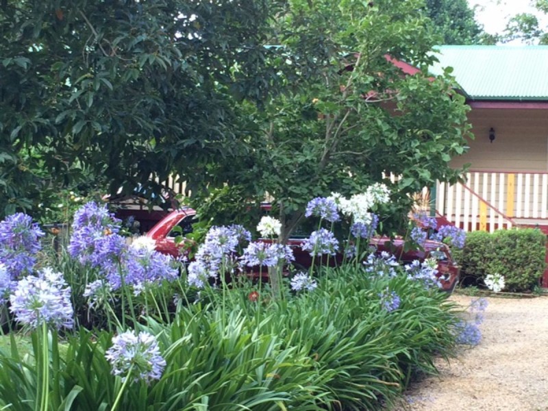 30 Thynne Court, Maleny QLD 4552