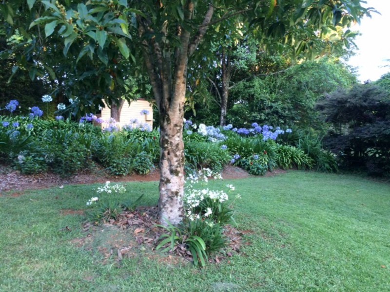 30 Thynne Court, Maleny QLD 4552