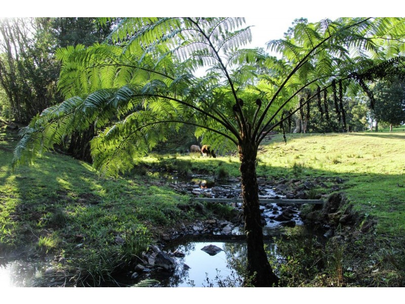 86 Dixon Ave, Maleny QLD 4552