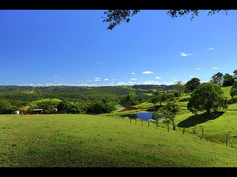 Maleny QLD 4552