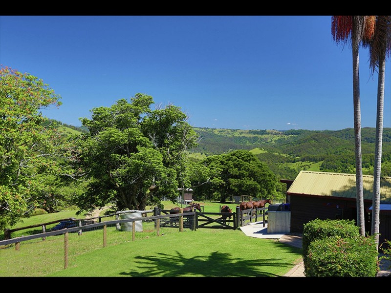 Maleny QLD 4552