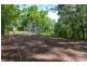 196 Hunchy Road, Palmwoods QLD 4555