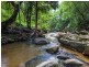 196 Hunchy Road, Palmwoods QLD 4555